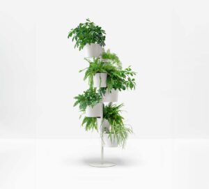 Porte-plantes PEDRALI Hevea 5181